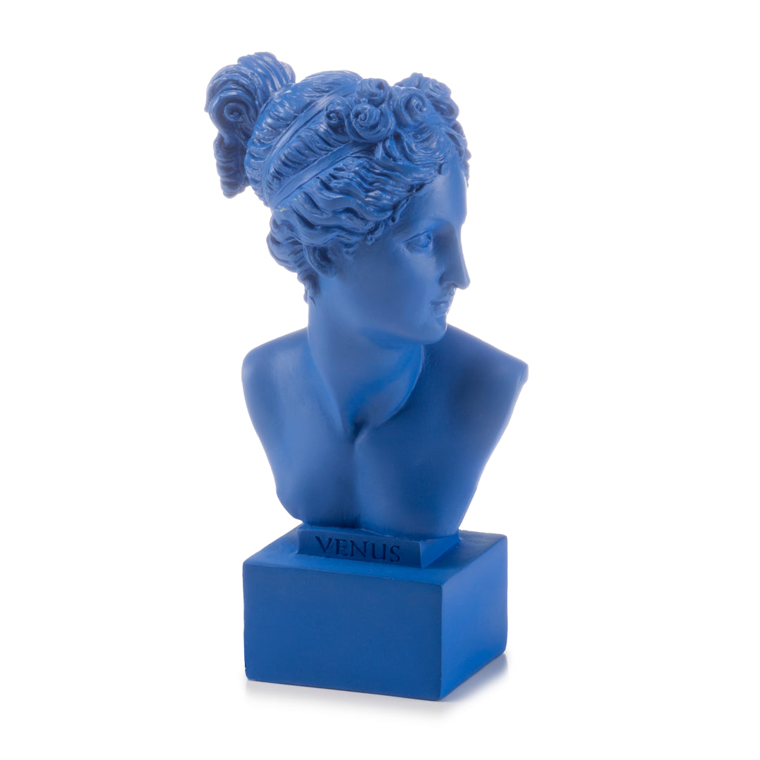 PALAIS ROYAL Busto Scultura Figura Venere Blu 19cm Resina