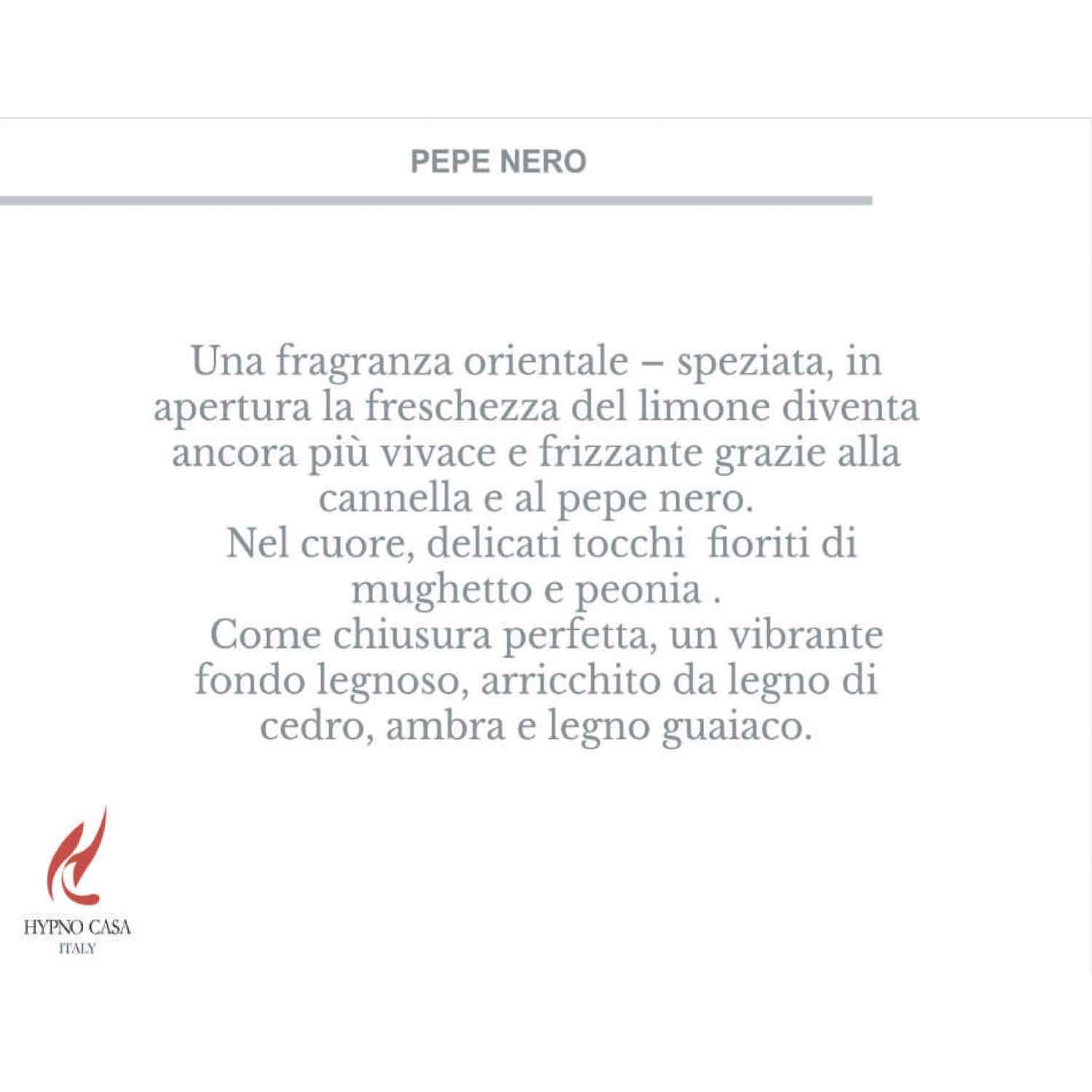 HYPNO CASA - Profumatore Diffusore Ricarica Pepe Nero Eco 1L