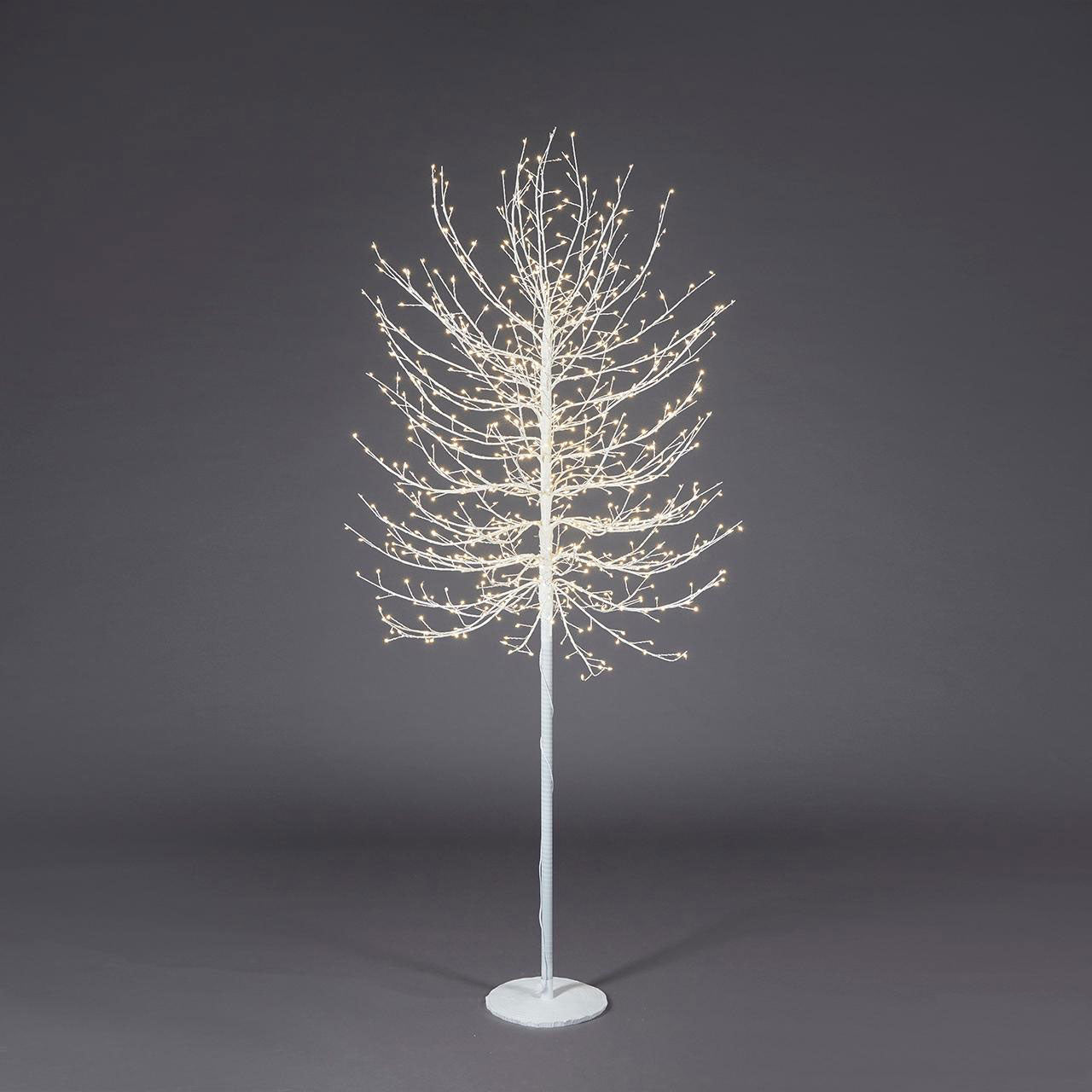 EDG Enzo De Gasperi Faggio Albero di Natale Luminoso con 900 LED Bianco 180cm Metallo