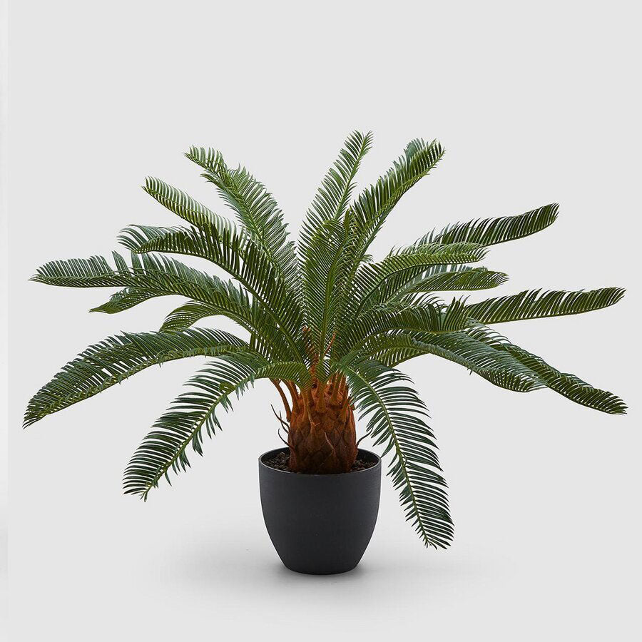 EDG Enzo De Gasperi Artificial Plant Cycas Palm 72cm Green