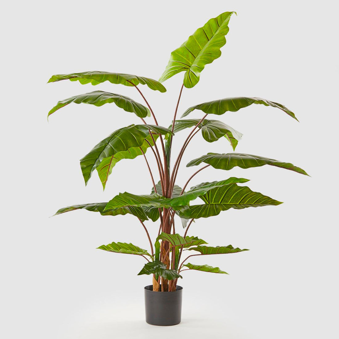 EDG Enzo De Gasperi Artificial Plant Alocasia Chic with Pot 170cm 20 Leaves Green