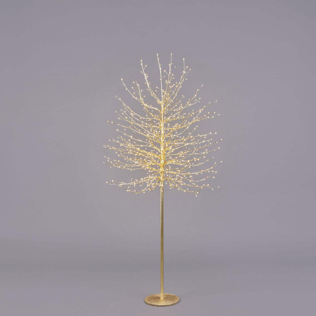 EDG Enzo De Gasperi Faggio Albero di Natale Luminoso con 900 LED Oro 180cm Metallo