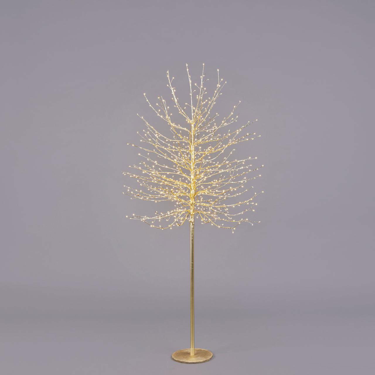 EDG Enzo De Gasperi Faggio Albero di Natale Luminoso con 900 LED Oro 180cm Metallo