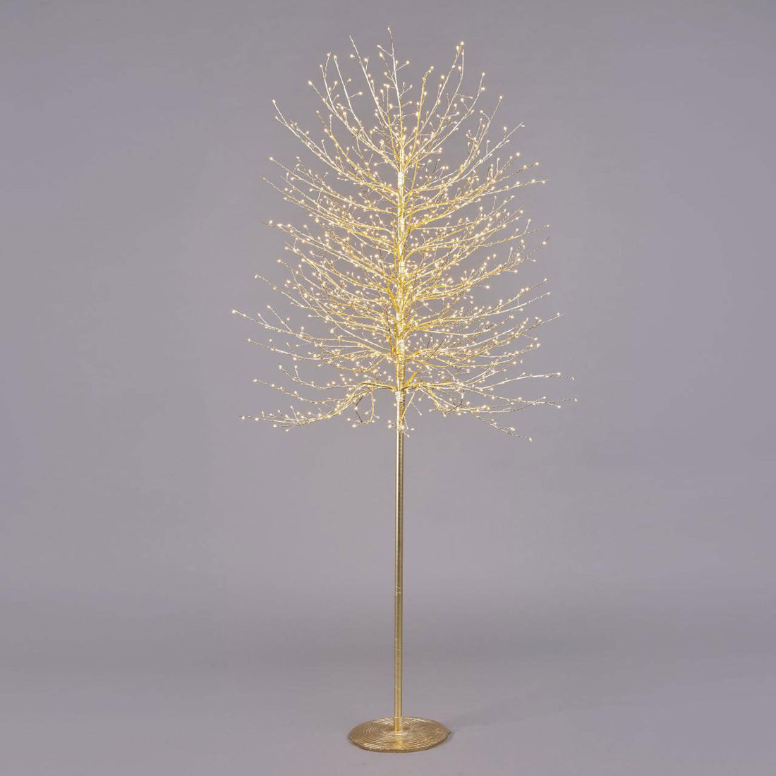 EDG Enzo De Gasperi Faggio Albero di Natale Luminoso con 1300 LED Oro 210cm Metallo