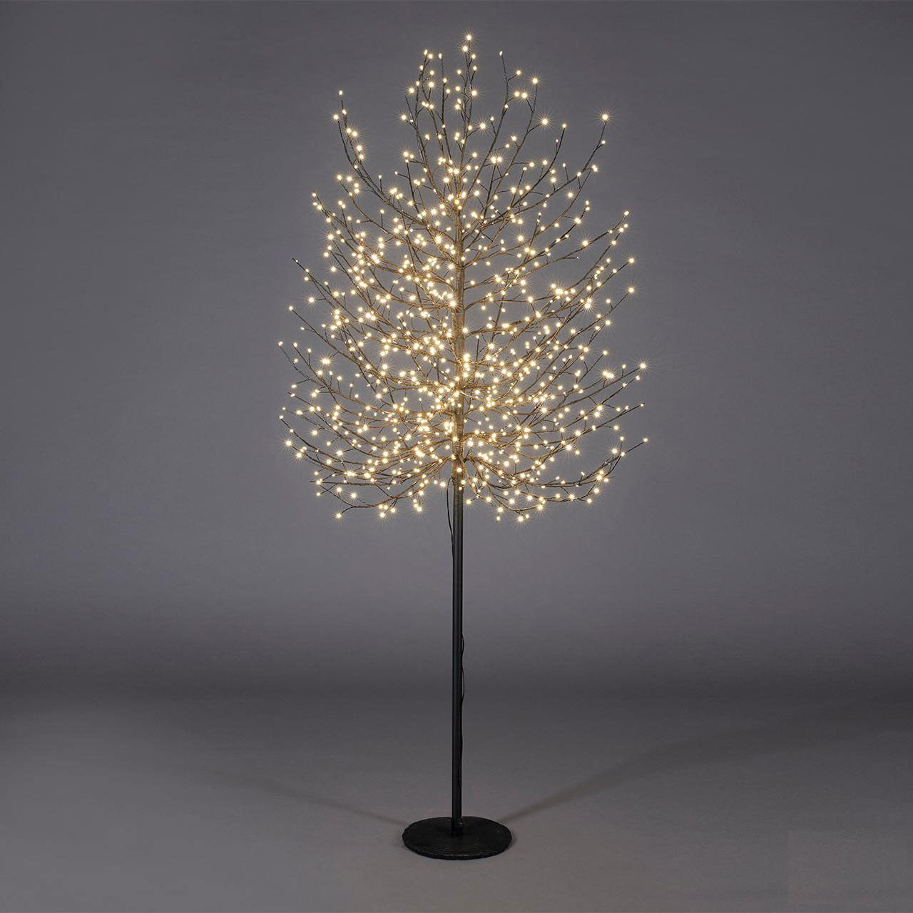 EDG Enzo De Gasperi Faggio Albero di Natale Luminoso con 1300 LED Nero 210cm Metallo