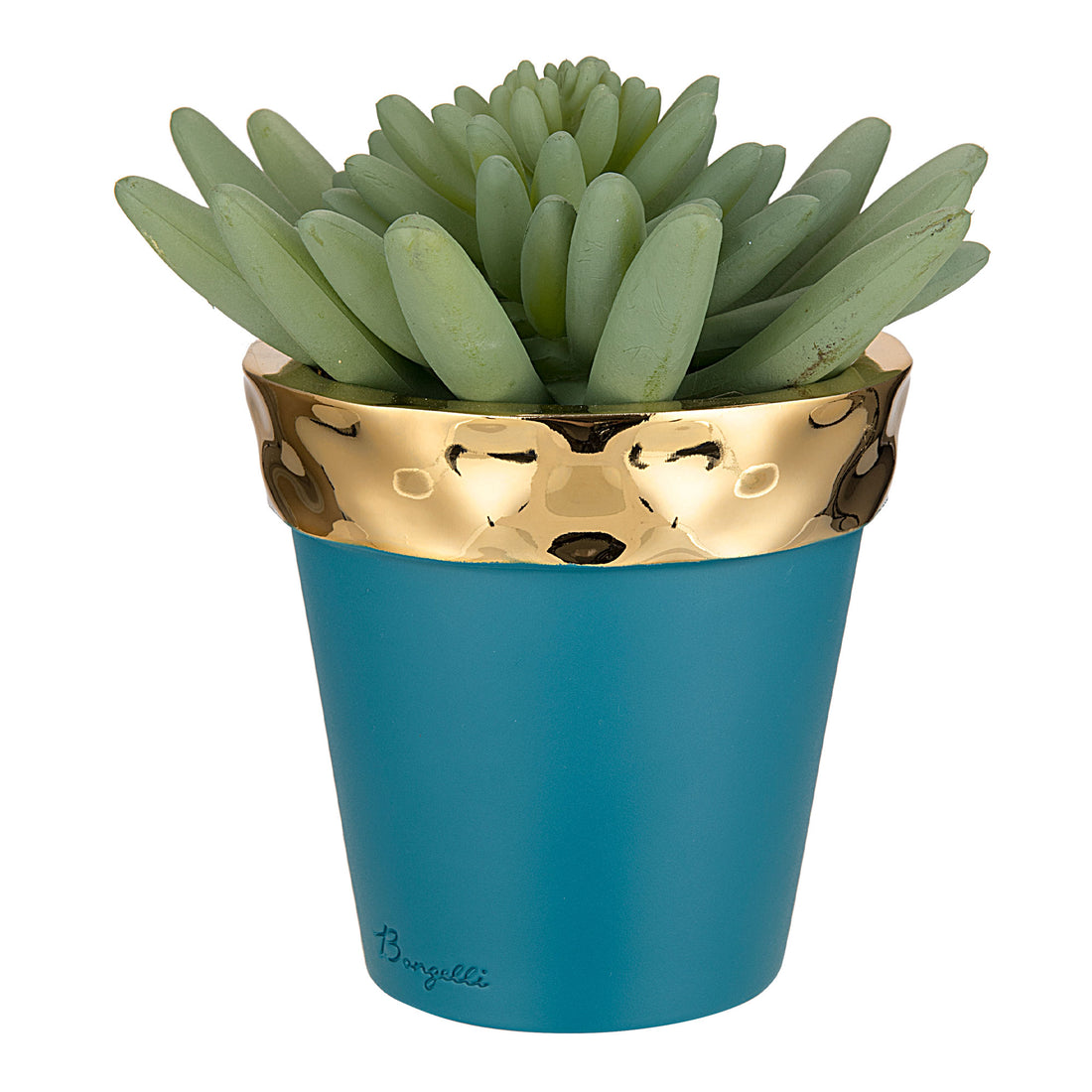 BONGELLI PREZIOSI Colored Vase in Marmorino Teal and Gold 7.5cm Real Succulent Plant