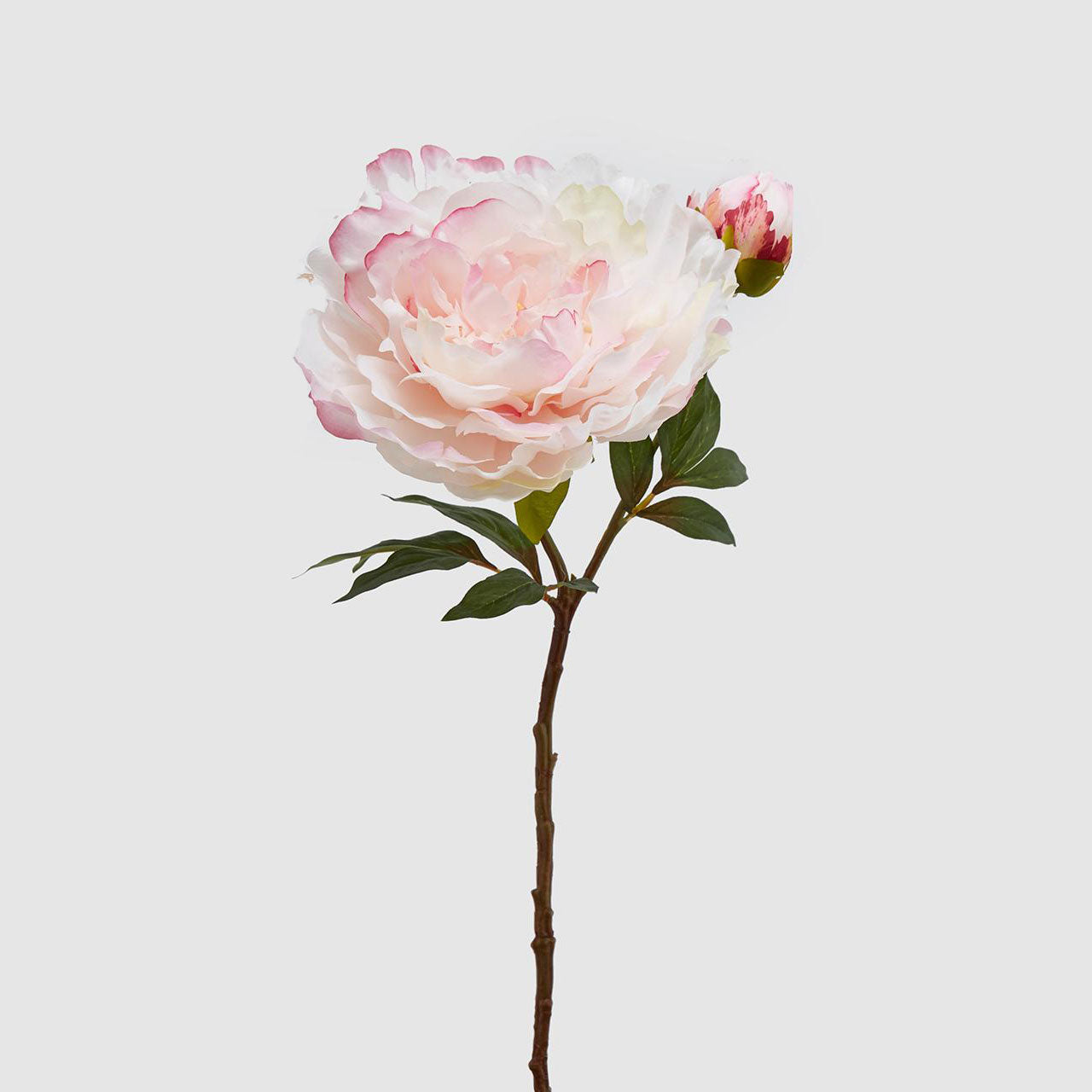 EDG Enzo De Gasperi Realistic Peony Flower Branch 54cm Cream