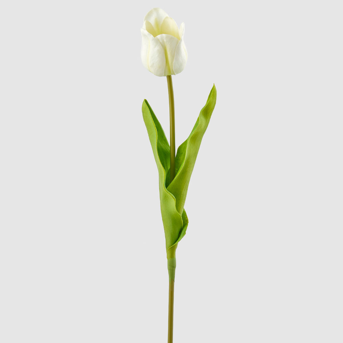 EDG Enzo De Gasperi Realistic Glorius Tulip Flower 51cm Ivory