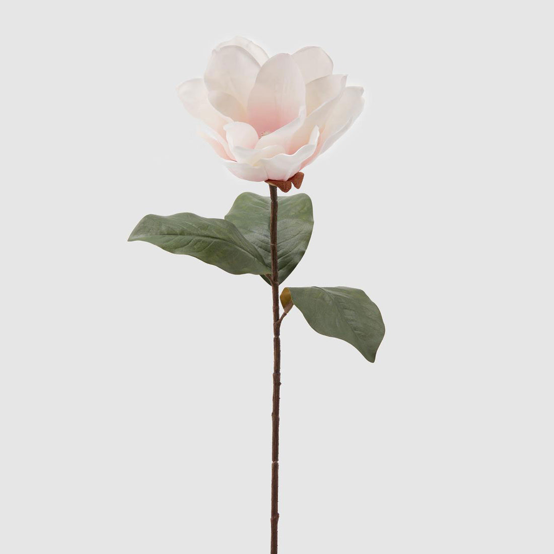 EDG Enzo De Gasperi Realistic Magnolia Branch Flower 70cm White Pink