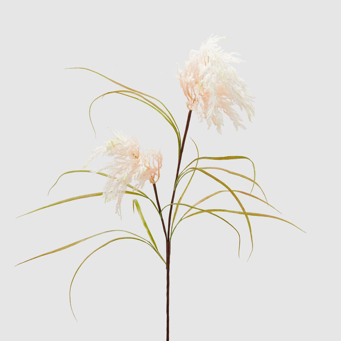 EDG Enzo De Gasperi Pampas Soft Realistic Branch 120cm Cream Pink