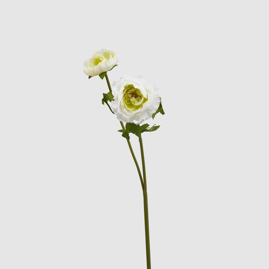 EDG Enzo De Gasperi Realistic Ranunculus Flower 48cm White