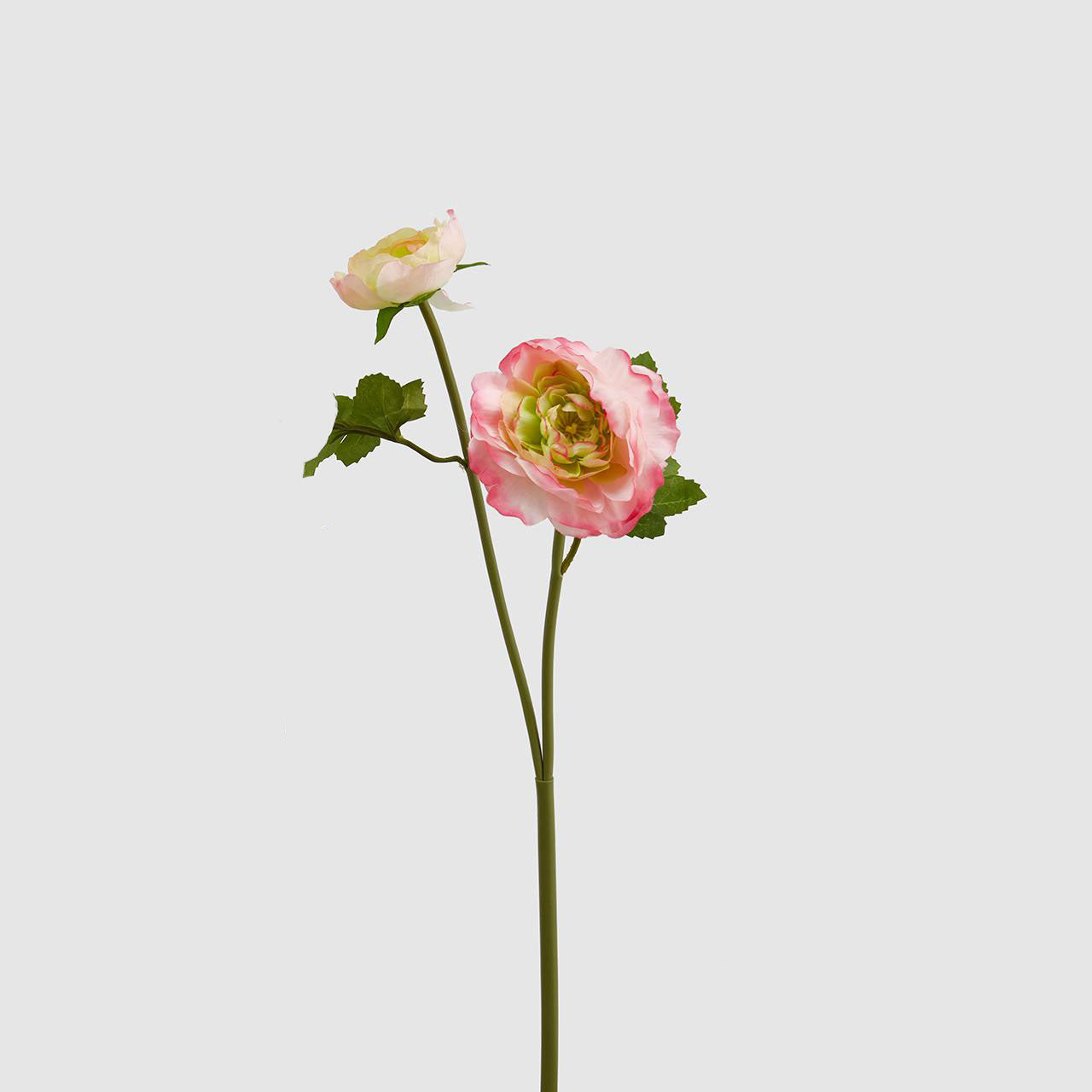 EDG Enzo De Gasperi Realistic Ranunculus Flower 48cm Pink