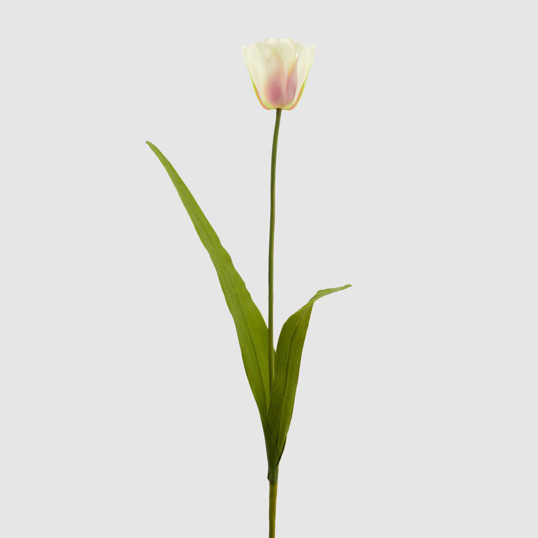 EDG Enzo De Gasperi Dutch Tulip Flower Realistic Branch 73cm White Pink