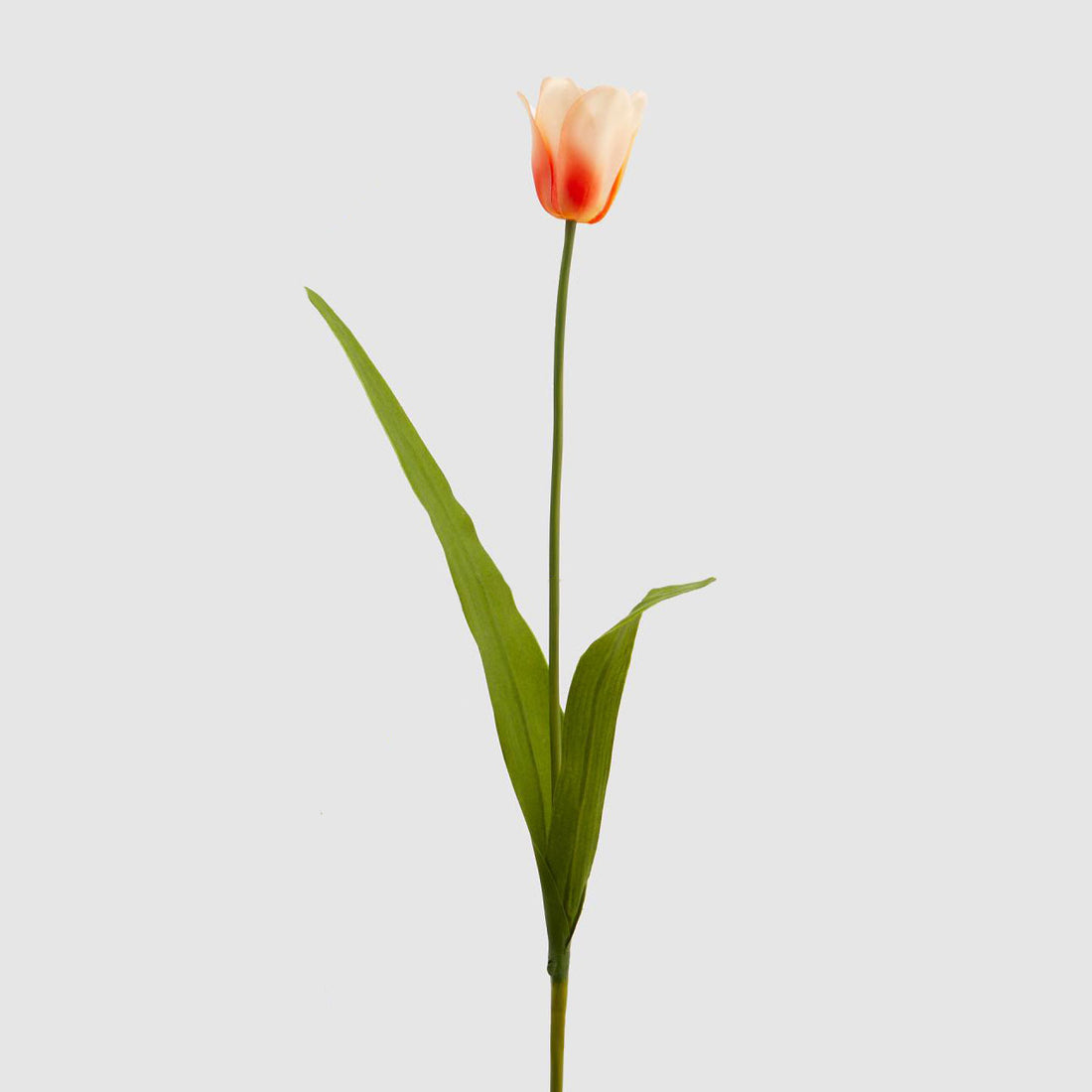 EDG Enzo De Gasperi Dutch Tulip Flower Realistic Branch 73cm Pink