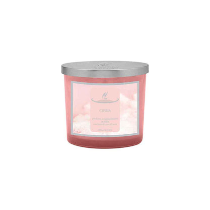 HYPNO CASA CHIC Candela Profumata 200gr Cipria