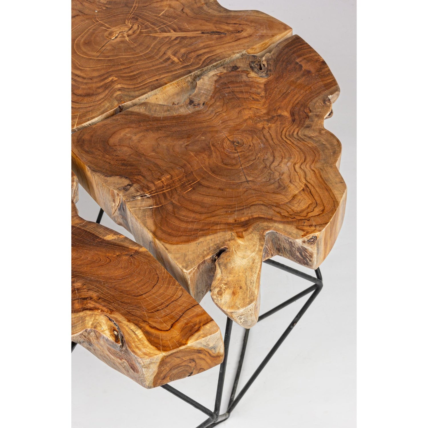 BIZZOTTO Adanya Coffee Table in Teak Root Wood with Steel Structure 80x40cm