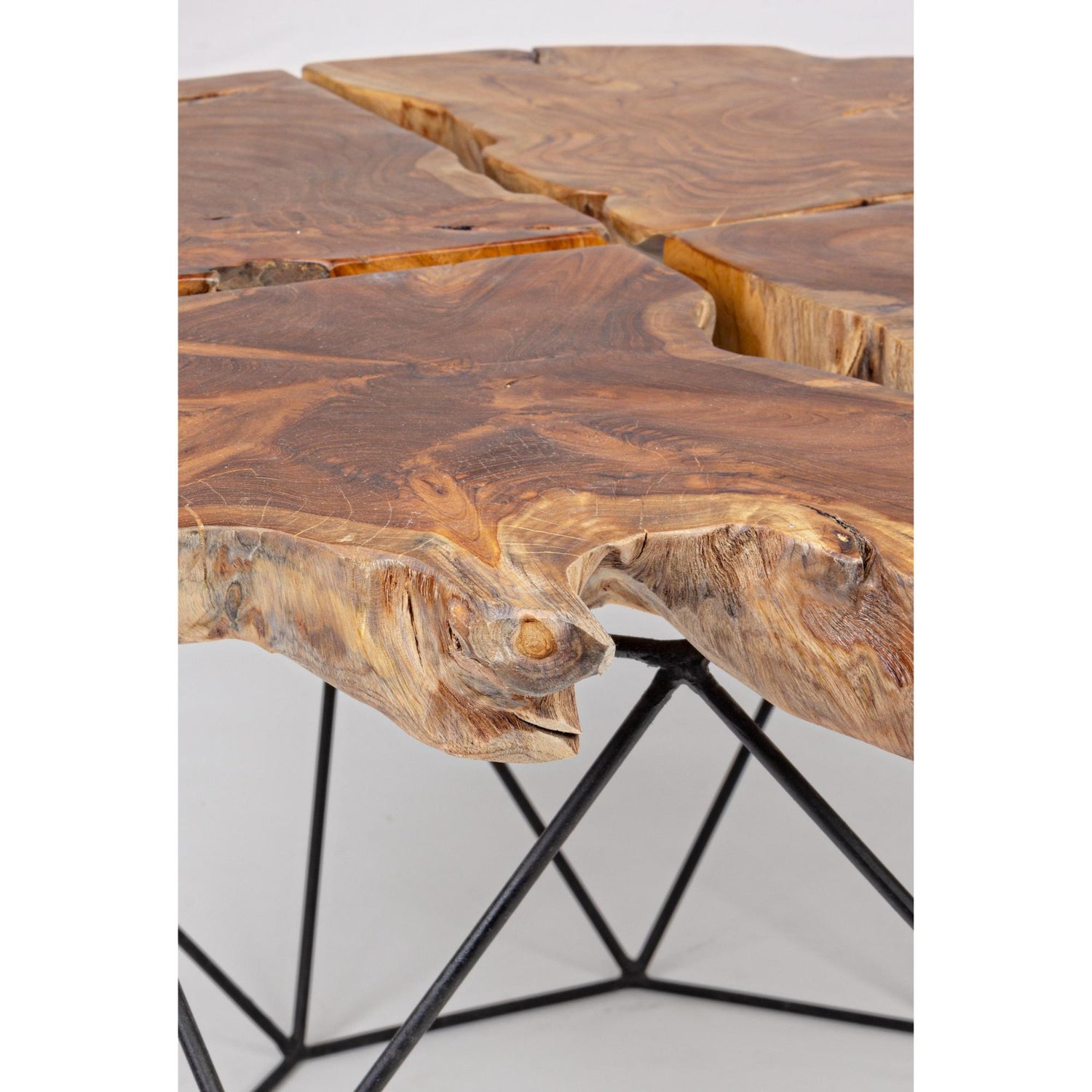 BIZZOTTO Adanya Coffee Table in Teak Root Wood with Steel Structure 80x40cm